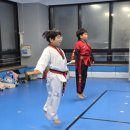 강호 해솔 태권도 이미지