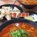 손마루 이미지
