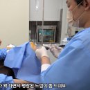 자가지방줄기세포? 16년차 의사가 말하는 시술 전 알아야 할 2가지