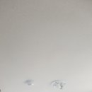 동남바이오 이미지