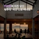 제주늘보의오후 | &#39;번아웃&#39; 왔을 때, 숨통 트이는 제주 여행지 BEST 3
