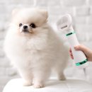 뽀송그루밍 이미지