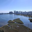 르컬렉티브속초중앙 이미지