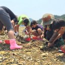 묵계초등학교 이미지