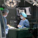 다솜동물메디컬센터 금정점 이미지