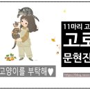 농업회사법인 꼼냥 주식회사 네이버블로그