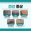 한선한의원 이미지