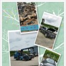 구로-구로-구로-844 이미지