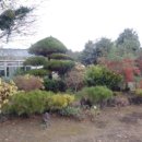 성읍리-1 이미지