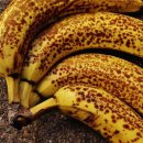 반점이 있는 바나나를 매일 2개씩 먹은 결과. 이미지