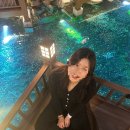 인천 영종도 인스파이어 객실 꿀팁 수영장 예약, 헬스장, 식당 솔직후기 내돈내산