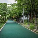 중랑천 산책로 이미지