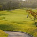 아크로컨트리클럽 이미지