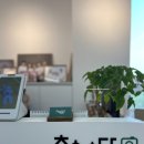 동탄 / 증명사진 &#39;추억을 담다&#39; 사진관 &amp; 여권(갱신)발급방법