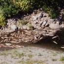 M0프로젝트 이미지