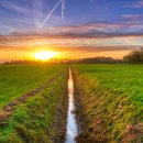 농업회사법인주식회사다알 이미지