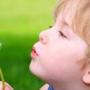 알레르기 이미지