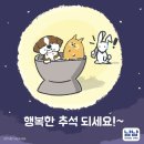 냠냠펫푸드 이미지