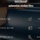 빌리프모터스 이미지