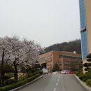 공주교육대학교 이미지