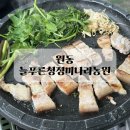 푸른농원 | 양산 미나리 삼겹살 늘푸른청정미나리농원 후기