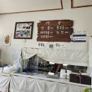 해피 댕 데이 | 충남 계룡시 팥죽 콩국수맛집 콩쥐팥쥐