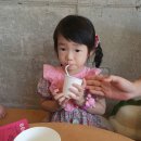 [경기도 화성] 화성가볼만한곳 소다미술관