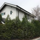 양지마을4로 이미지