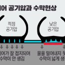 타이어테크 대전점 이미지