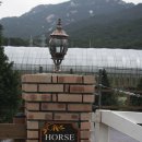 나무소리펜션 민박 이미지