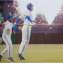 三星 Lions 이미지