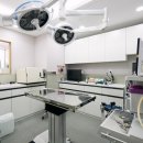 늘곁에동물병원 이미지