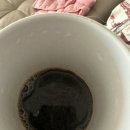 흙염소 농장 | 목초농장 흙염소 녹용진액 진짜가 나타났다 찐이야~