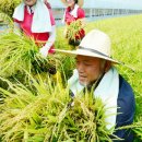 대농축산 이미지