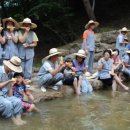 파인트리 스테이 이미지