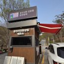 수련원야영장 | 용인 용인자연휴양림 야영장 데크 9번 (용인 공공 캠핑장)