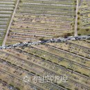 춘천안식공원 이미지