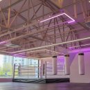 팔로니아 복싱 이미지