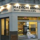 해비치동물병원 이미지