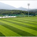 월드컵빌리지 풋살장 이미지