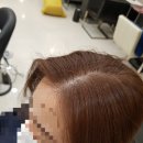 헤어칸토 이미지