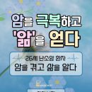 암이 아닌 앎, 우리는 희망을 선택했다 - 이미지