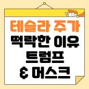 일론 머스크 vs 트럼프, 테슬라 주가 폭락 이유, 주가 전망은?