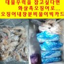 감포항구낚시