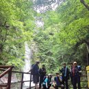 소백산국립공원(연화봉, 비로봉) 횡단 산행 후기 (2026.06.21)