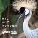 色이 있는 風景 이미지