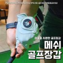 쿨스크린골프 | 여름 골프장갑 엑스텐스 쿨프로 (feat. 메쉬소재 합피 골프장갑 )