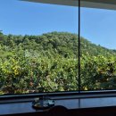 낙산농장 이미지