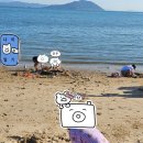 청정해수탕 | (보성)보성 가을 완벽 데이 플랜! 율포해수욕장 모래놀이 → 녹차센터 물놀이 → 녹돈 저녁식사