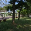 함덕초등학교 병설유치원 이미지